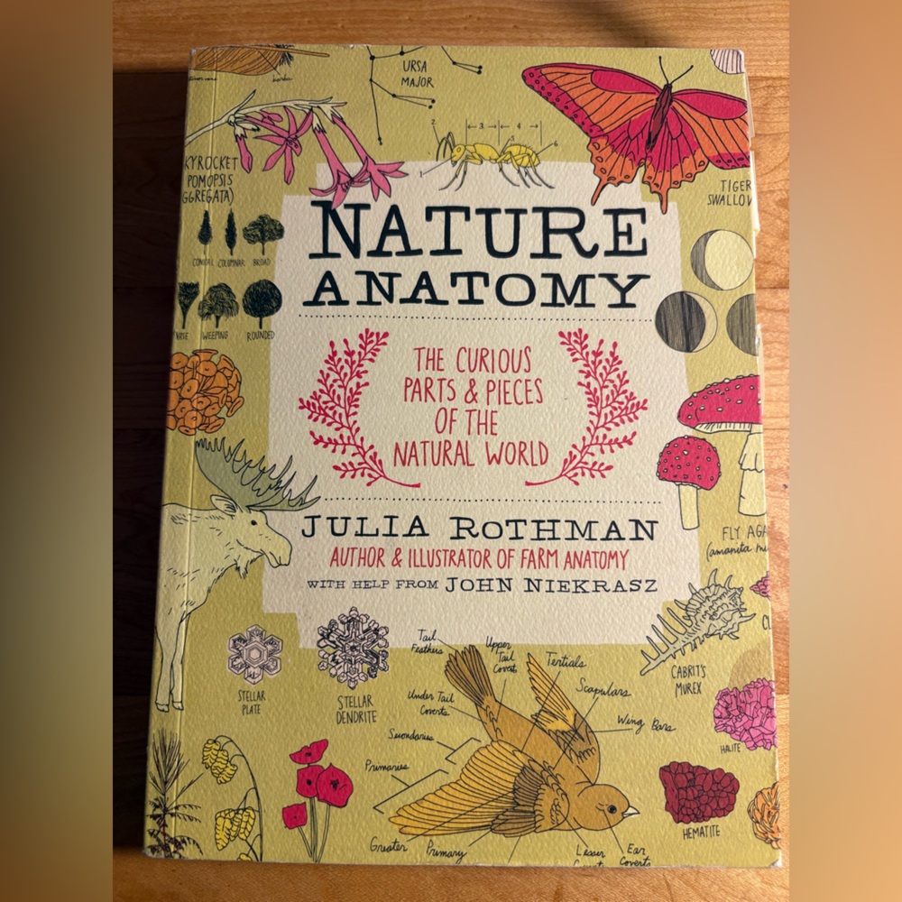 Nature Anatomy Book by Julia Rothman